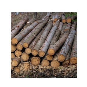 Gỗ Thông-gỗ chất lượng cao cho xây dựng - Product Image 6