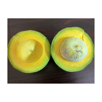 Verse Hass Avocado Fruit Vietnam Leverancier Export Kwaliteit Verpakt In 10Kg Kartonnen Doos Geschikt Voor Sandwich Smoothie Koken