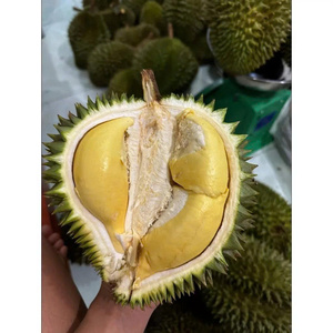 OFERTA CALIENTE DURIAN CONGELADO AL POR MAYOR SUMINISTRO A GRANEL TOP VENTAS PRODUCTO DE EXPORTACIÓN DE FRUTAS TROPICALES NATURALES DE CALIDAD PREMIUM - Product Image 1