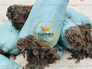 Algues marines séchées brutes pour l'alimentation animale - Fabricant d'algues marines du Vietnam - Product Image 4