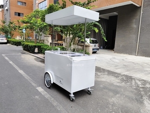 Mini mobile de vélo de nourriture de chariot de poussée de main de rue personnalisé par couleur avec l'équipement - Product Image 4