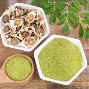 Poudre de feuilles de Moringa lyophilisée OEM/ODM, riche en antioxydants, vitamines, minéraux et protéines végétales, idéale pour le thé de Moringa - Product Image 6