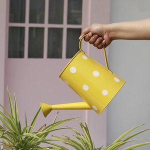 Arrosoir décoratif de jardin d'intérieur/extérieur enduit de poudre en métal - Product Image 4