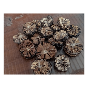 PREMIUM DRIED NONI FRUIT FROM VIETNAM//COMPETITIVE PRICE//HIGH <b>QUALITY</b>//WHOLESALE WORLDWIDE - Product Image 6