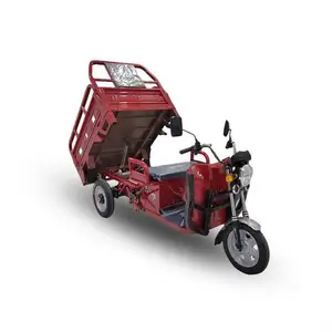 Fast 900KG Motor Tricycle Tilting Reverse Trike For Cargo