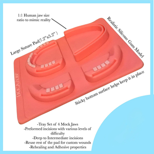 Kit de entrenamiento de sutura Dental profesional, modelo de práctica de sutura, almohadilla de entrenamiento, tijeras de aguja, Kit de herramientas - Product Image 3