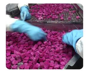 ผลไม้แช่แข็ง, ผลไม้มังกรแช่แข็งเกรดส่งออกที่มีสีธรรมชาติสดใสเหมาะสำหรับสลัดน้ำผลไม้และขนม - Product Image 1