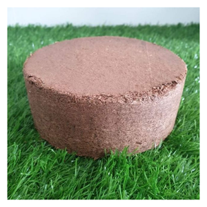 Balle de tourbe de coco compressée écologique de 5kg avec une capacité de rétention d'eau élevée, parfaite pour l'agriculture biologique et le rajeunissement du sol - Product Image 2