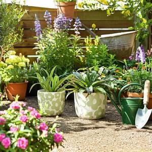 Juego de Macetas de Cerámica con Diseño Floral, Duraderas, Decorativas para Interiores, Elegantes y Modernas para el Hogar - Product Image 3