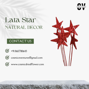 Adorno de Estrella para Árbol de Navidad, Hecho a Mano, Ecológico, para Graduación, Halloween, Boda, Hogar, Interior/Exterior - Product Image 3