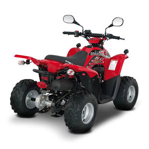 Nouveau véhicule utilitaire industriel MAXXER 50 à 2 temps - Product Image 1