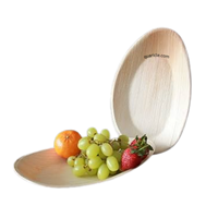 Plateau jetable en bambou Areca, robuste et écologique, 12 pouces/10 pouces, pour mariage, événement, service de salade, voyage, anniversaire, hôtel, super promotion