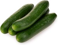 Vente chaude Concombres frais Qualité originale Pure Salade Légumes en vrac Fournitures Concombres frais de qualité supérieure