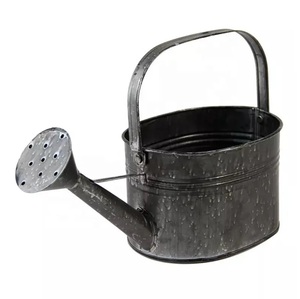 New design High Quality sale Garden Tools <b>Children</b> Galvanized Mini Water <b>Can</b> Safety Health Metal <b>Watering</b> <b>Can</b> wholesale price - Product Image 6