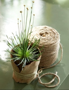 Wholesales Hand Woven Rattan Planter Flower Pot <b>Baskets</b> Home Decoration Wicker <b>Baskets</b> <b>Plant</b> Pots for Indoor <b>Plants</b> Table Decor - Product Image 6