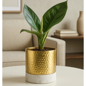 Maceta de oro martillado con base de mármol blanco Nuevo diseño Fabricante Decoración para el hogar Plantas de interior Alta demanda Suministro al por mayor - Product Image 6