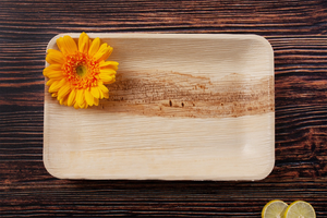 Assiettes rectangulaires profondes en feuille de palmier Areca naturelle pour la restauration, le pique-nique et le restaurant à bon prix - Product Image 2