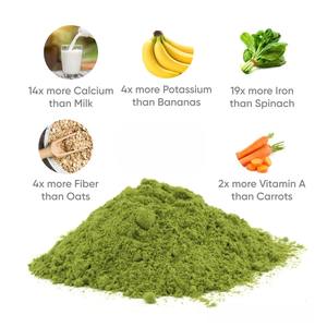 Poudre de feuilles de Moringa 100% pure de qualité alimentaire, superaliment naturel pour la perte de poids, l'énergie et le soutien immunitaire - Product Image 4