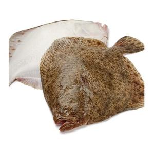 Wholesale Price Supplier of Frozen Whole Turbot <b>Fish</b> Bulk Stock With Fast Shipping - Product Image 4