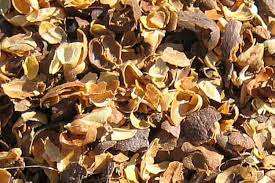 Meilleures ventes de coques de café du VIETNAM au meilleur prix par Vigi Farm - Product Image 4