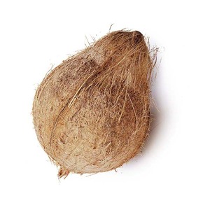 Noix de coco naturelle entière séchée en vrac, fournisseur d'exportation en gros, directement de l'usine pour les commerçants et importateurs internationaux de noix - Product Image 1