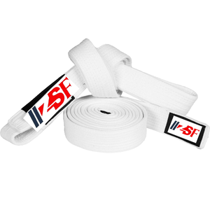 2022 personnalisé karaté uniforme ceinture Fitness porter avec différentes couleurs et Logo de l'équipe pour les arts martiaux - Product Image 2