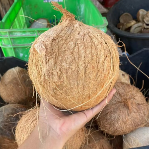 Coco descascarada de carne fresca y jugosa de Vietnam UP 800g, precio barato, carne rica y agua dulce, perfecto para importación directa - Product Image 1