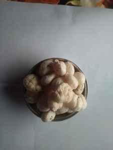 بذور اللوتس (فول ماخانا) الطبيعية عالية الجودة بالجملة، صالحة للأكل، توريد بالجملة لتجار التجزئة وشركات الأغذية الصحية - Product Image 2