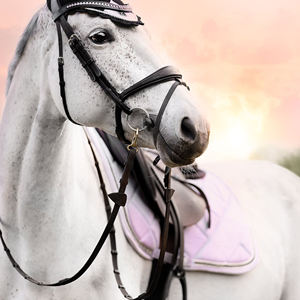 Ensemble de tapis de selle pour chevaux de dressage et de saut, couleur de lumière personnalisable, qualité supérieure, matériau en polyester durable, tissu confortable - Product Image 3