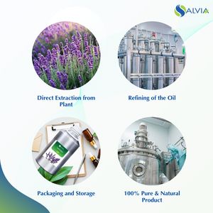 Aceite de lavanda orgánico para uso cosmético al por mayor/aceite esencial de lavanda con garantía de calidad disponible a un costo razonable - Product Image 4