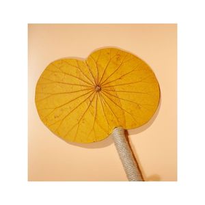 พัดลมใบบัว2024จากวัสดุธรรมชาติทนทานงานฝีมือที่เป็นมิตรกับสิ่งแวดล้อม - Product Image 1