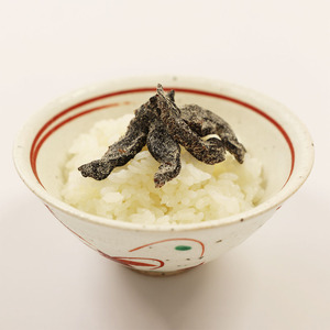 Top recommandé épais Nekombu fruits de mer à base de nutrition Jerky saveur de piment épicé chaud collations 50 pièces stockage à température ambiante - Product Image 6