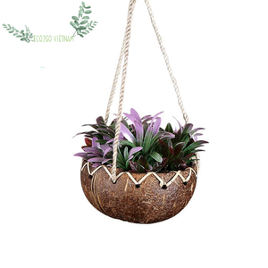 Offre Spéciale! De noix de coco Shell Pot/Noix De Coco Planteur Pot/Pot De Fleur Avec Un Design Personnalisé et Logo À L'exportation De Noix De Coco par Eco2go - Product Image 2