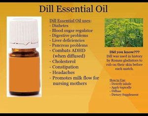 High Wholesale Price on Pure <strong>Essential</strong> Oil High Content Carvone <strong>Good</strong> Quality Dill Seed From Melaleuca Excellent Value - Product Image 6