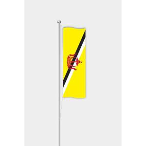 Drapeau vertical personnalisé du Brunei 3x5 pieds, style fanion, impression numérique, matériaux coton, soie, plastique, mât en aluminium, affichage extérieur - Product Image 1
