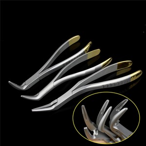 Forceps d'extraction dentaire pour racines, pinces à fragments radiculaires, instrument dentaire, outil universel incurvé pour maxillaire et mandibule - Product Image 2