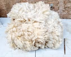 Laine de mouton naturelle/laine de mouton grasse à vendre - Product Image 5