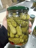 Pepinillos en escabeche Pepinos bebé en salmuera-Pepino enlatado conservado en vinagre