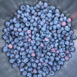 Fruits de myrtille frais naturels - Qualité supérieure - Approvisionnement en vrac - Product Image 3