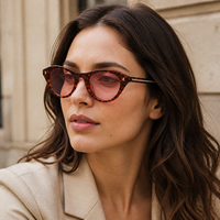 Lunettes de soleil Mellume personnalisées avec logo, monture œil de chat en acétate, polarisées UV400, branches métalliques pour femmes, fournisseur OEM de lunettes de marque privée