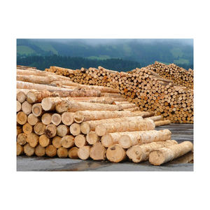 Grumes de sapin de Douglas fournies en grande quantité pour les revêtements de sol et les applications décoratives - Product Image 2