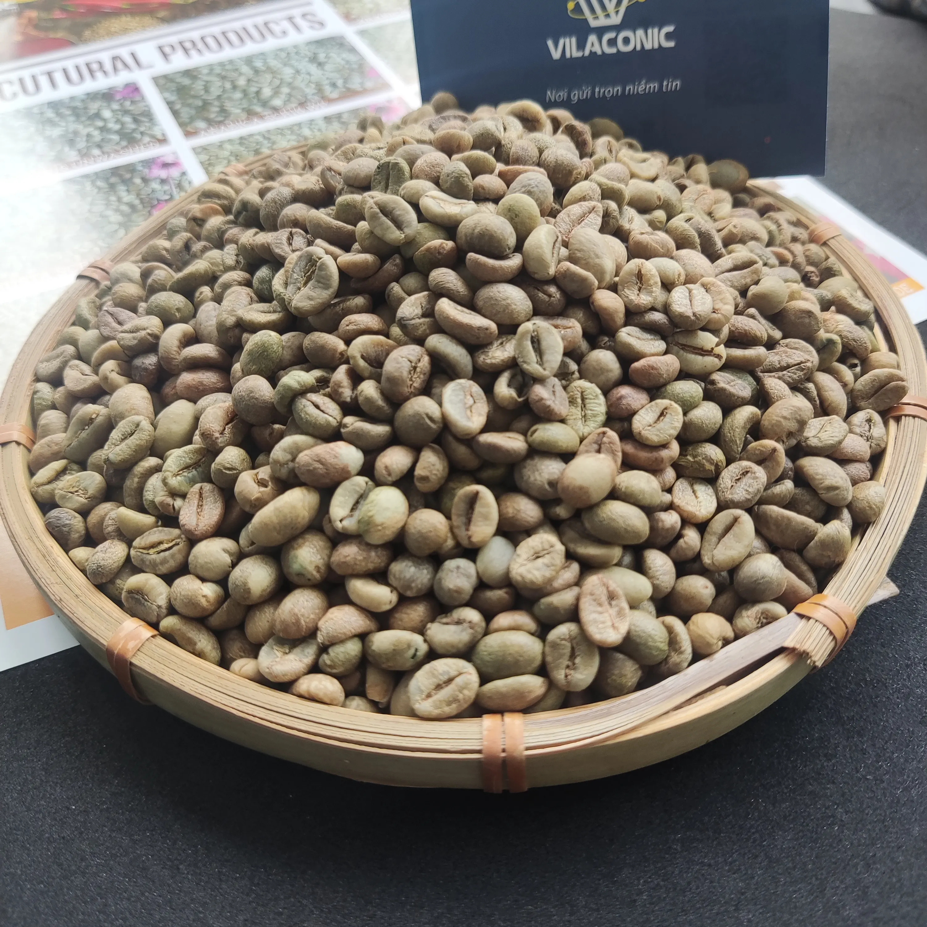 حبوب القهوة الخضراء من روبوستا الفيتنامي للبيع بالجملة SCR16 SCR18 مصقولة وتنظيفة دون غسل رخيصة الثمن للغاية عالية الجودة للتصدير بكميات كبيرة