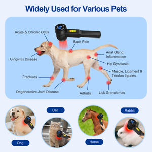 Máquina de Terapia Láser de Alta Potencia de 5W, Fisioterapia con Luz Roja de 650nm y 808nm, Láser MLS para el Tratamiento del Dolor de Ciática - Product Image 5