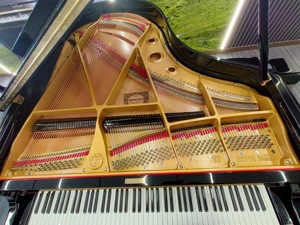 Piano de cola Yamaha G2 de alto rendimiento con diseño clásico para escenario y estudio, con un rico tono acústico 758968 - Product Image 5