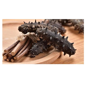 Concombre de mer séché de haute qualité, concombre de mer séché en vrac, séché naturellement et riche en nutriments essentiels - Product Image 4