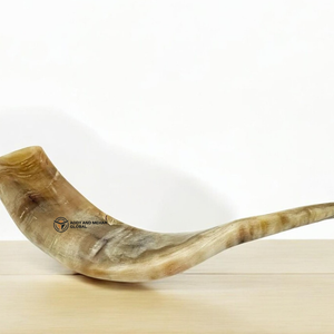Cuerno de carnero natural, acento decorativo, cuerno de shofar pulido hecho a mano para decoración del hogar y coleccionistas - Product Image 5