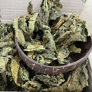 Vente en gros de feuilles de papaye séchées du Vietnam, feuilles de papaye Carica, thé en feuilles, ingrédient brut, emballage direct d'usine OEM - Product Image 1