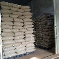 Yeşil kahve çekirdekleri Robusta S16 gelen Buon Me Thuot Vietnam yüksek kaliteli ham kahve işleme bal yıkanmış satılık