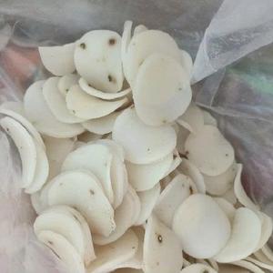 Exportar galletas de gambas, aperitivos de mariscos de Vietnam - Product Image 2