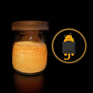 2025 Vente en gros Usine OEM Poudre lumineuse-Pigment non toxique phosphorescent haute luminosité pour bricolage - Product Image 6